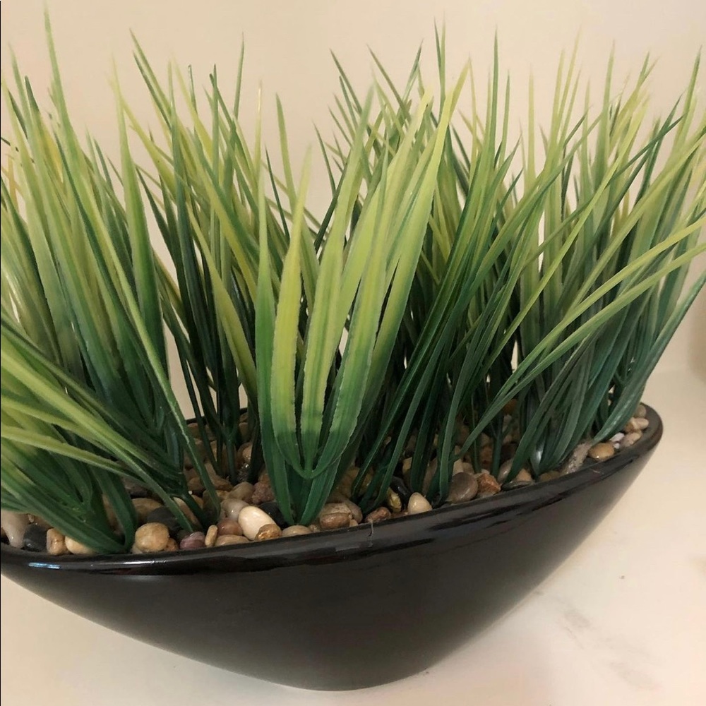 Artificial plant with rocks